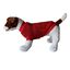 Loyal jersey peluche rojo para perros, , large indicador imagen numero 2